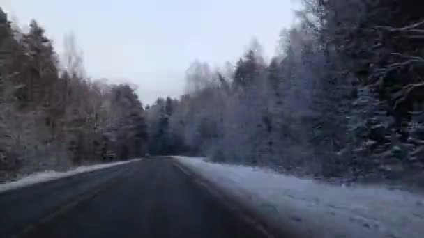 Snowy road in the forest — Stock Video