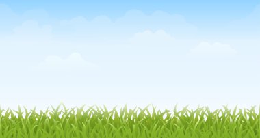 Sorunsuz çim ve gökyüzü