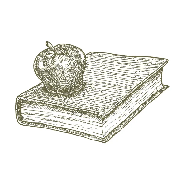 Kitap çizim, elma okul kavramı Stok Vektör