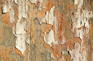 Arka plan olarak eski sarı ahşap duvar