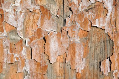 Arka plan olarak eski sarı ahşap duvar