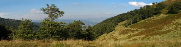 Karpat dağ panoramik görünümünden yaz gününde — Stok fotoğraf
