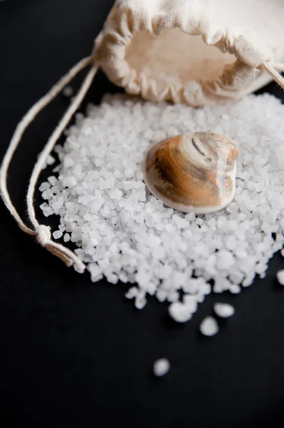 Heap of the sea salt dropped out of natural bag with sea shell on top