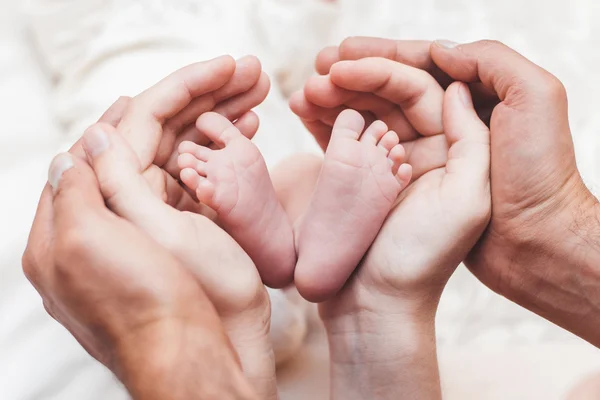 eller, topuklu, kalp, hafif bir arka plan üzerinde bebek