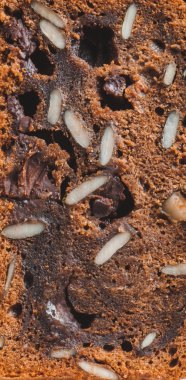 doku deli ve tohum ile çikolatalı kek