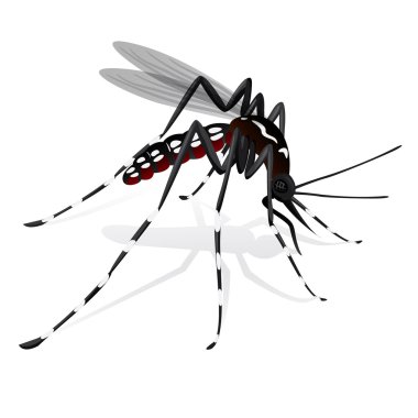 Aedes aegypti Sivrisinek maskotu ayaklı. Bilgilendirme ve kurumsal ilgili sanitasyon ve bakım için idealdir