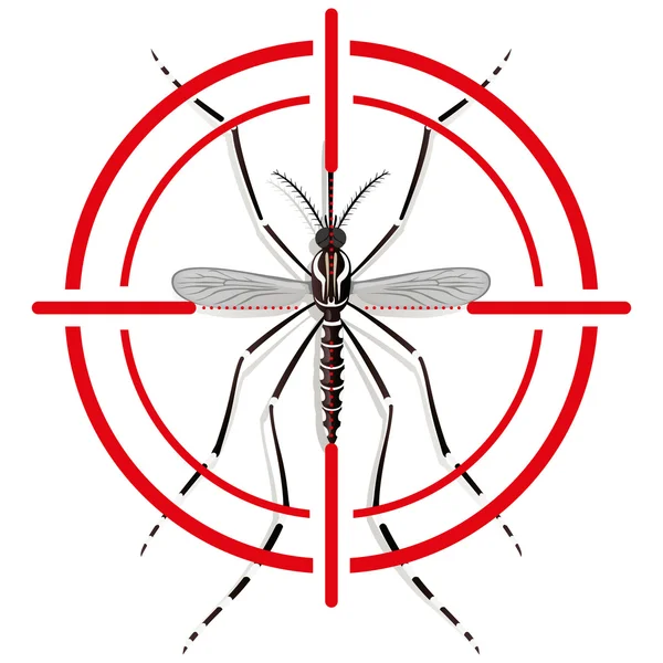 Natureza, mosquitos Aedes Aegypti stilt com sinal de visão ou alvo, vista superior. Ideal para saneamento e cuidados informativos e institucionais — Vetor de Stock