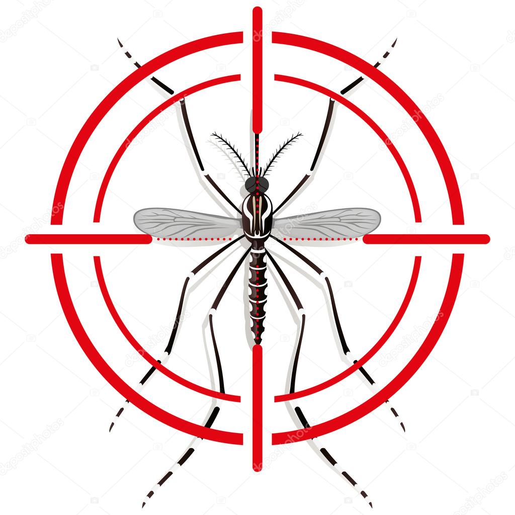 Nature, Aedes Aegypti mosquitoes stilt with sight signal or target, top view. Ideal for informational and institutional related sanitation and care
