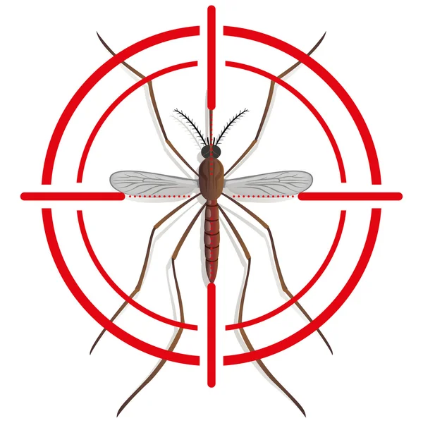 Natureza, silhueta de mosquito stilt com sinal de visão ou alvo, vista superior. Ideal para saneamento e cuidados informativos e institucionais — Vetor de Stock