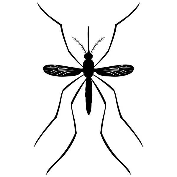 Příroda, silueta Mosquito chůda, pohled shora. Ideální pro informační a institucionální související hygieny a péče o — Stockový vektor