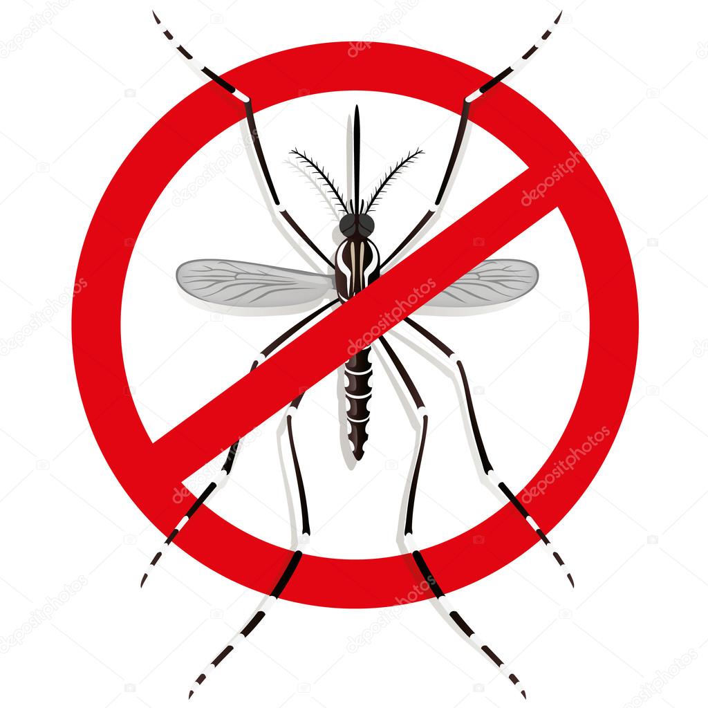 Nature, Aedes Aegypti mosquitoes stilt with prohibited sign, top view. Ideal for informational and institutional related sanitation and care