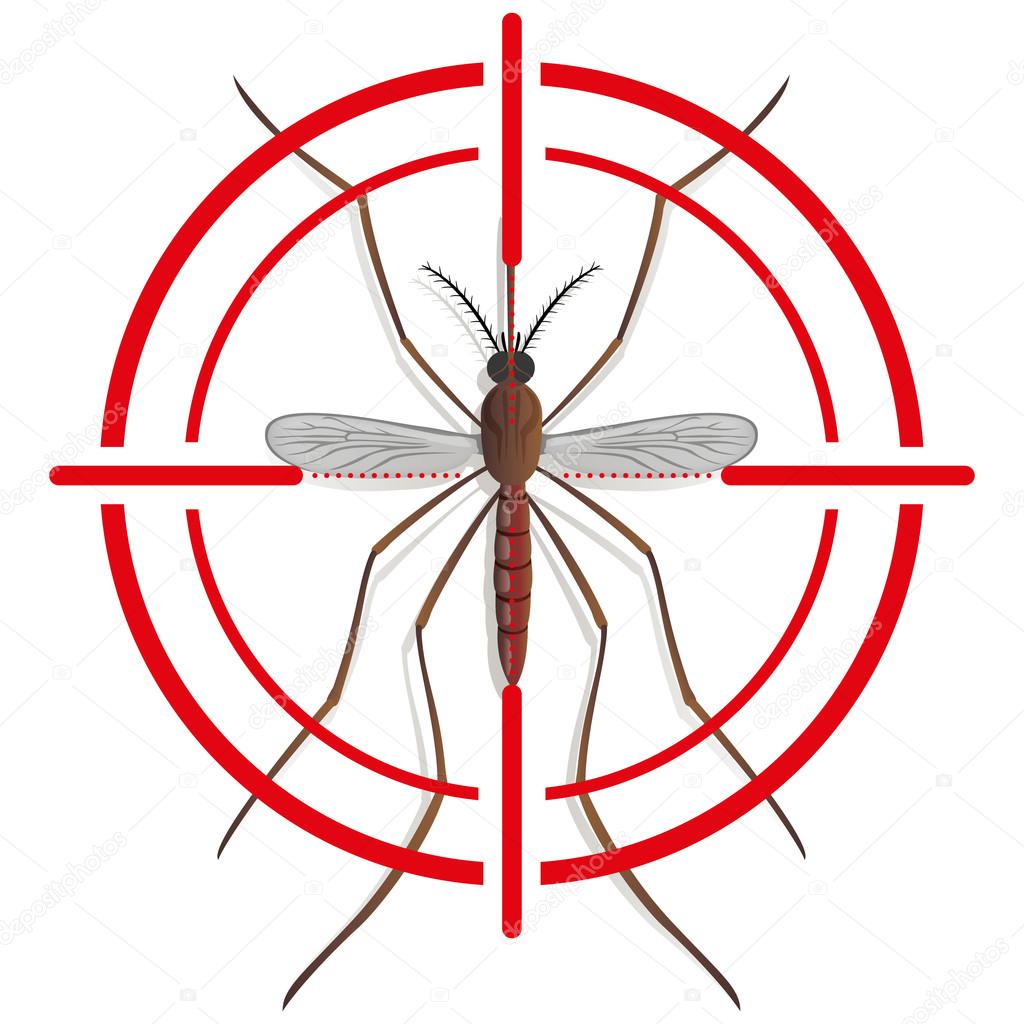 Nature, Mosquito silhouette stilt with sight signal or target, top view. Ideal for informational and institutional related sanitation and care