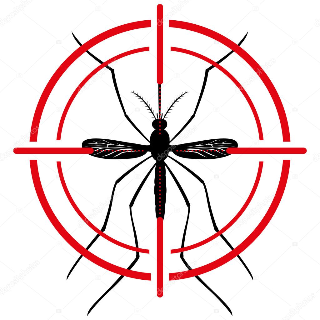 Nature, Mosquito silhouette stilt with sight signal or target, top view. Ideal for informational and institutional related sanitation and care