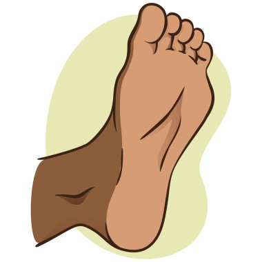 body part illustration, plant or sole of the foot, African descent. Ideal for catalogs, informational and institutional material clipart