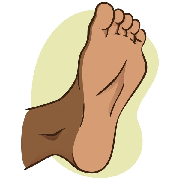 Body part illustration, plant or sole of the foot, African descent. Ideal for catalogs, informational and institutional material — Stock Vector
