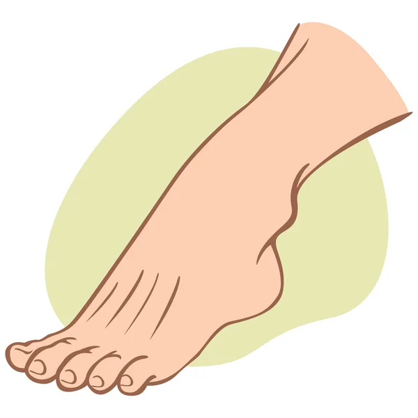 Individuella mänskliga foten. kaukasiska. Idealisk för kataloger, informativt och institutionella guider — Stock vektor