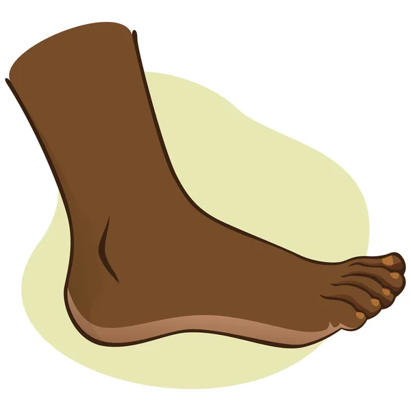 Person, side view human foot. african-descendant. Ideal for catalogs, informational and institutional guides — Stock Vector