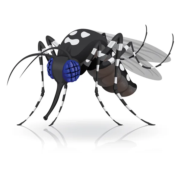 Mascotte de Aedes Aegypti moustiques Côté inclinaison. Idéal pour l'assainissement et les soins liés à l'information et aux institutions — Image vectorielle