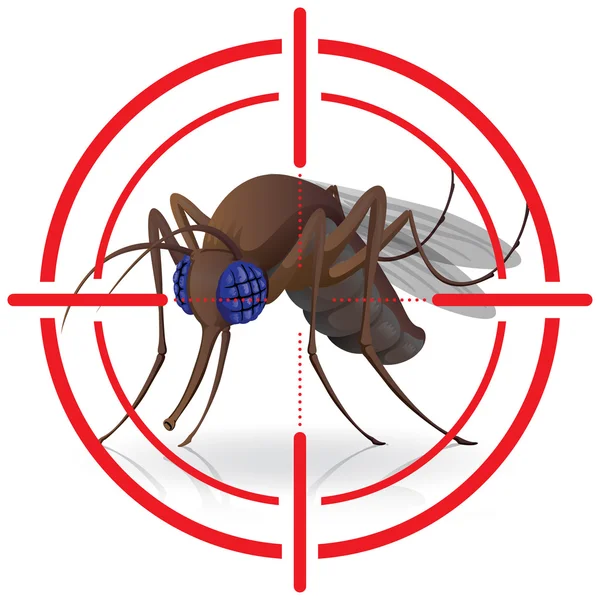 Señalización, lado Inclinación mosquitos con punto de mira. Mira señal. Ideal para el saneamiento y la atención relacionados con la información y las instituciones — Vector de stock