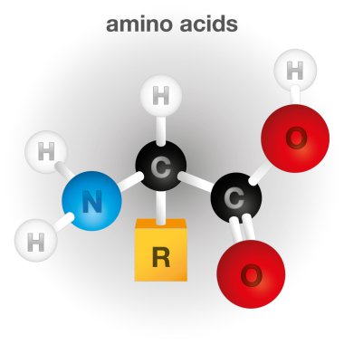 Bir kompozisyon ve amino asit kimyasal element, eğitim kitapları ve kurumsal malzeme için ideal yapısını temsil eden illüstrasyon