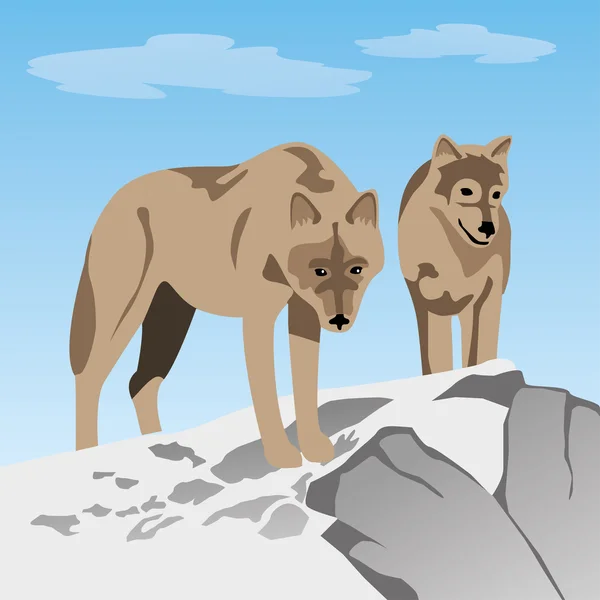 Wildtier-Illustration des Wolfes — Stockvektor