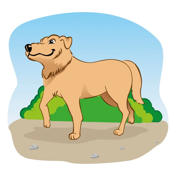 Parkta yürüyen bir Labrador köpek temsil eden illüstrasyon. — Stok Vektör