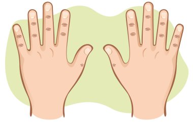 Bu insan vücudunun bir parçasıdır, açık üstten görünüm çifti eller. Eğitim materyali için ideal ve kurumsal