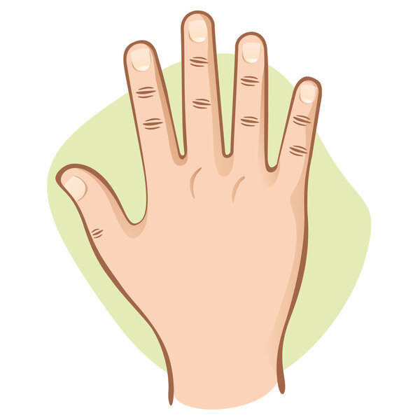 Иллюстрация является частью человеческого тела, рука открыта вид сверху. Идеально подходит для учебных материалов и учреждений
