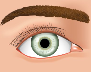 Yakın ve insan gözünün Illustration. Tıbbi malzeme ve inditucionais için ideal