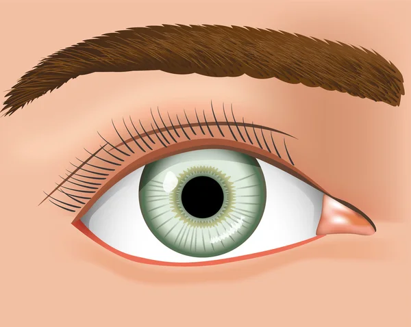Ilustración de un ojo cercano y humano. Ideal para suministros médicos e inditucionais — Archivo Imágenes Vectoriales