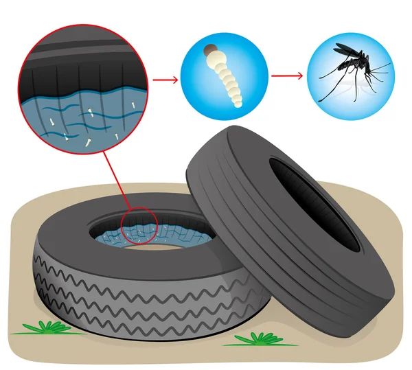 Naturaleza, neumáticos con agua estancada con mosquitos reproductores de moscas. Ideal para el saneamiento informativo e institucional y los cuidados relacionados — Vector de stock