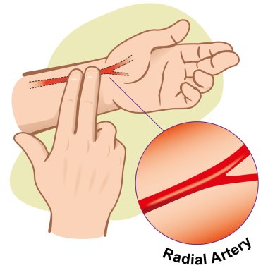 Arter Radial 'ın nabzını ölçen ilk yardım illüstrasyoncusu. Kataloglar, bilgilendirici ve tıbbi rehberler için ideal.