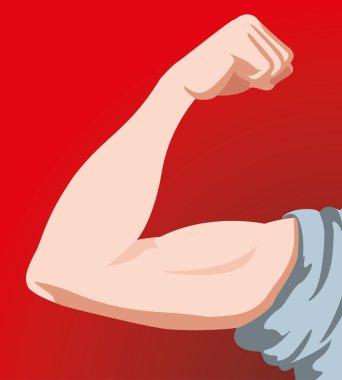 Illustration representing human anatomy Arm. Ideal for catalogs, informative and medical guides