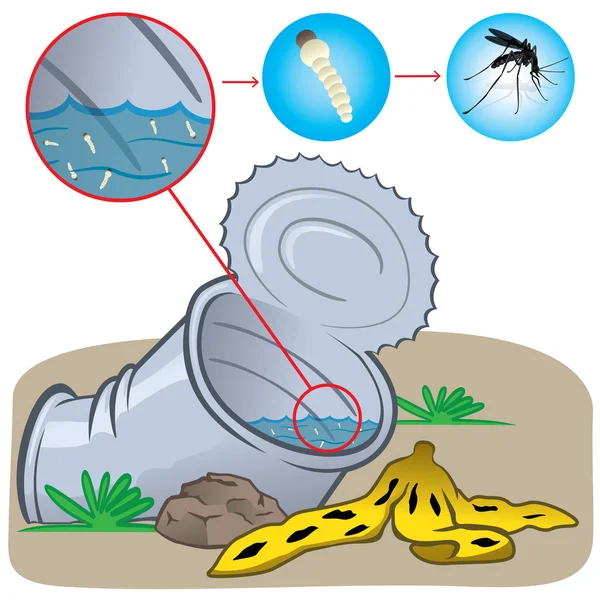 Nature, can with standing water with a focus of mosquito. Ideal for informational and institutional related sanitation and care — Stock Vector