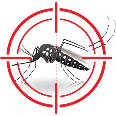 Doğa, Uzunbacak hedef Aedes aegypti sivrisinek. manzaraları sinyal. Bilgi ve kurumsal ilgili sağlık ve bakım için idealdir