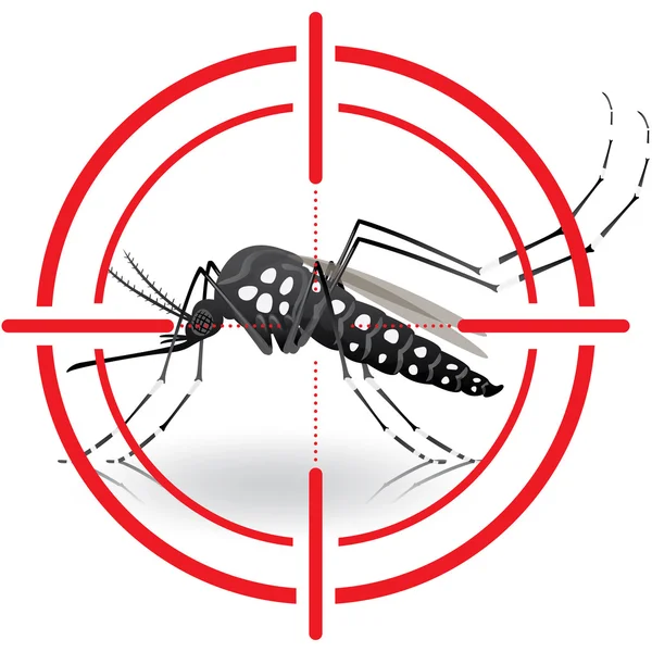 Naturaleza, mosquitos Aedes aegypti con objetivo de zancada. señales visuales. Ideal para el saneamiento y la atención relacionados con la información y las instituciones — Vector de stock