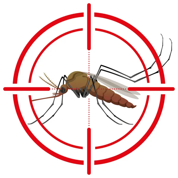 Natureza, mosquitos com alvo de estilhaço. sinal de mira. Ideal para saneamento e cuidados informativos e institucionais —  Vetores de Stock