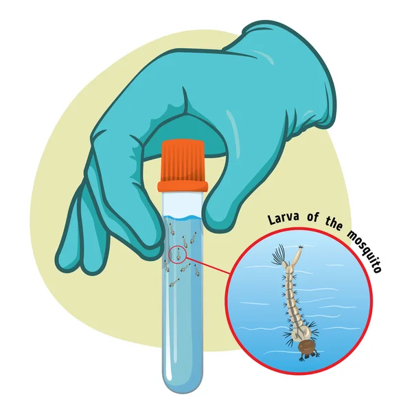 Ilustração representando uma mão segurando uma garrafa com larvas de mosquito colectadas para fazer uma bateria de testes laboratoriais —  Vetores de Stock