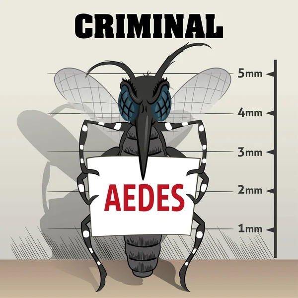 Mosquitos Aedes aegypti picam na prisão, segurando cartaz. Ideal para saneamento e cuidados informativos e institucionais — Vetor de Stock