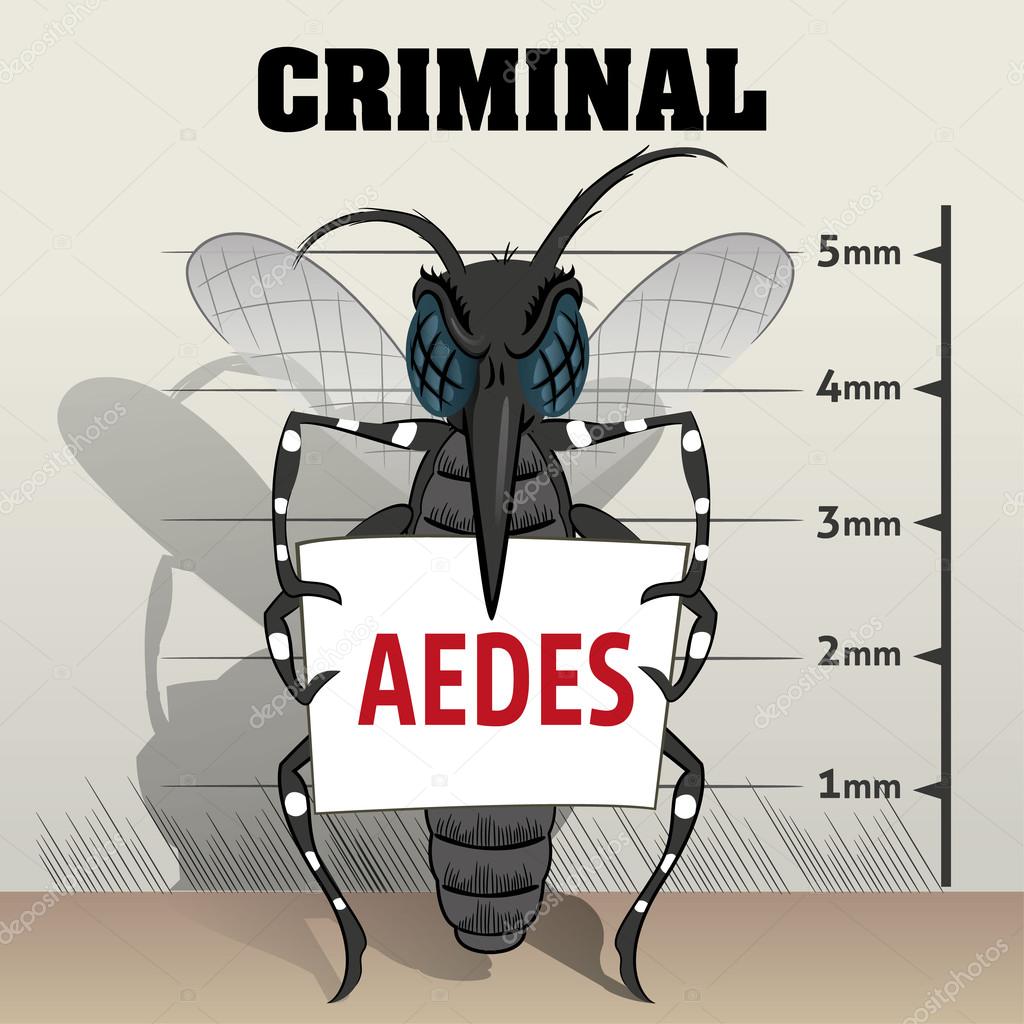 Aedes aegypti mosquitoes sting in jail, holding poster. Ideal for informational and institutional related sanitation and care
