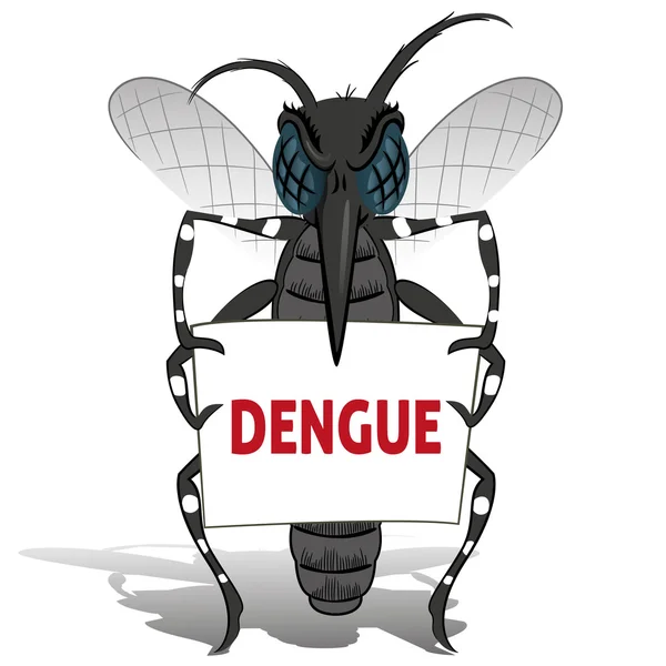 Aedes aegypti Mosquito stilt segurando cartaz Dengue. Ideal para saneamento e cuidados informativos e institucionais —  Vetores de Stock