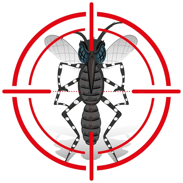 Nature, Aedes Aegypti Mosquito with stilt sights signal or target, Front. Ideal for informational and institutional related sanitation and care — Stock Vector