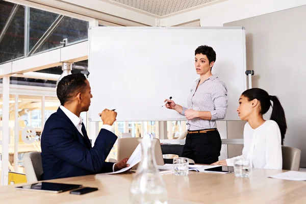 Businesswoman giving presentation to other members — Stock Photo, Image