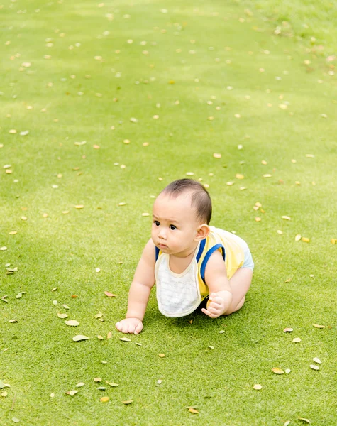 Baby playing  on the grass field — Stock Photo, Image