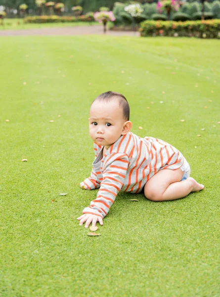 Baby playing  on the grass field — Stock Photo, Image