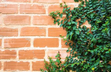 kırmızı tuğla duvar