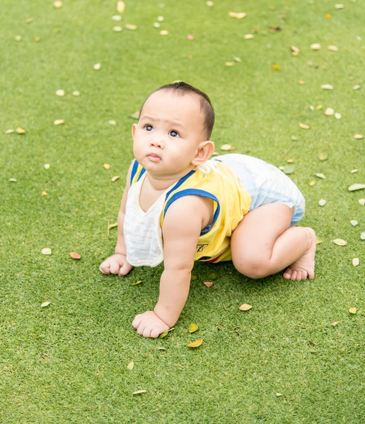 Potret luar ruangan bayi laki-laki Asia bermain duduk dan merangkak — Stok Foto