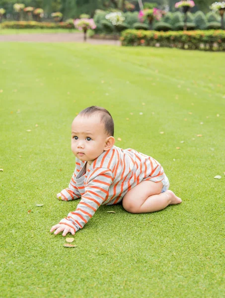 Outdoor portrait of Asian baby boy playing sitting and crawling — Stock Photo, Image