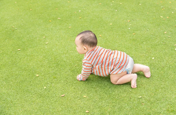 Outdoor portrait of Asian baby boy playing sitting and crawling — Stock Photo, Image