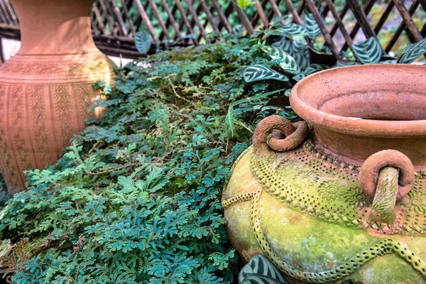 Decoración del jardín por tarro de cerámica, jarra de cerámica —  Fotos de Stock